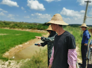  澄迈淡水小龙虾养殖基地